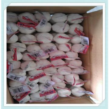 2015 Chinese natural garlic price, fresh natural garlic jinxiang