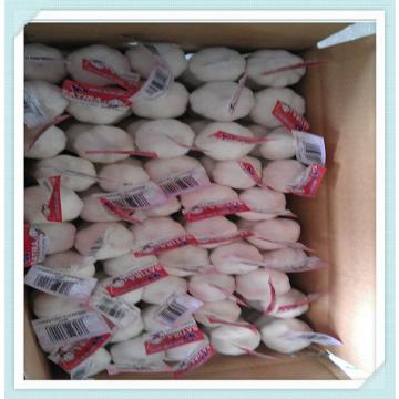 5.0cm Cheap white garlic of 7kg / 8kg / 10kg / 20kg mesh bag