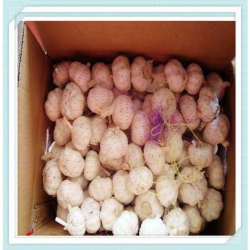 2015 new crop white fresh garlic from china with good quality