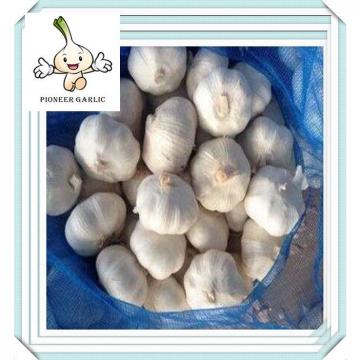 Good Farmer China Cheap Pure White Fresh Garlic New Price