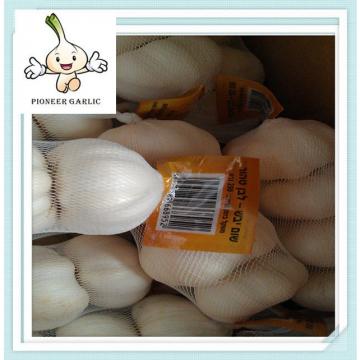 Chinese Fresh White Garlic 5.0cm 20kg/mesh bag or 10kg/mesh bag