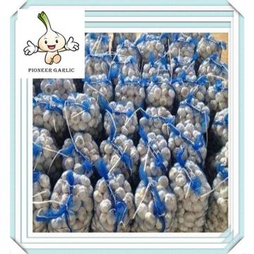 Chinese Small Packing 5.0CM Jinxiang Normal White Garlic For ecuador