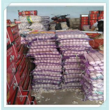 Dry jinxiang fresh red normal pure white garlic factory in china for sale