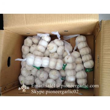 New Crop Chinese 5cm Pure White Fresh Garlic Small Packing In Box