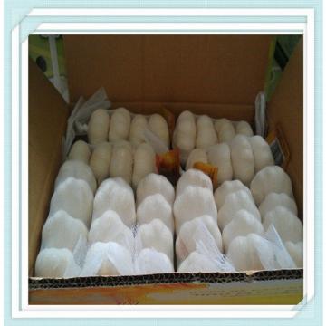 2015 China normal white garlic and pure white garlic