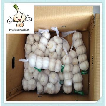 2015 New Crop Natural Garlic 10kg per carton Fresh Pure White China Natural Garlic