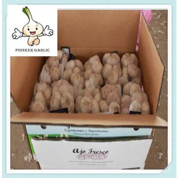 Chinese Fresh natural Pure White Garlic (3/4/5P Per Mesh bag Packing)