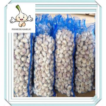 2016 New Fresh Pure White Garlic Wholesale China White Fresh Garlic Export