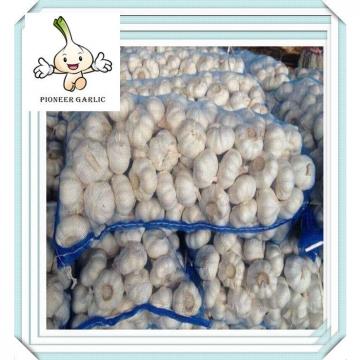 2015 China supplier dehydrated 4.5-6.0cm normal white garlic price