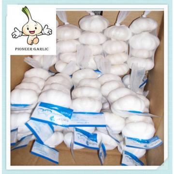 2016 hot sale new product fresh white garlic new crop fresh garlic