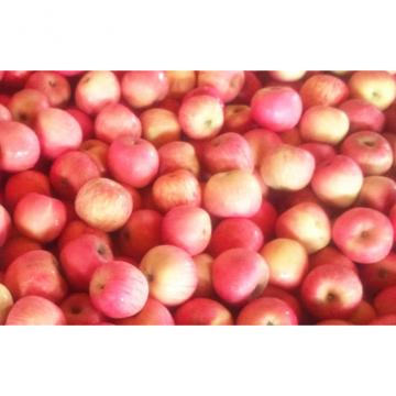 Tasty Red Fresh Fuji Apple Contains Phytochemicals For Apple Juice