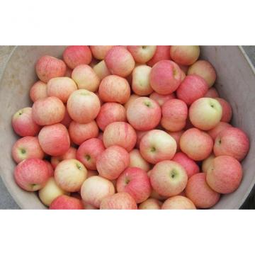 Health Benifits Of Organic Fuji Apple Containing Lutein And Zeaxanthin, Dense crisp, juicy, Sweet and sour moderate