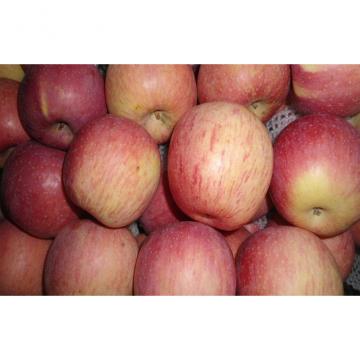 8cm Fresh Sweet Red Fuji Apple Rich Nutritions For Old People / Children