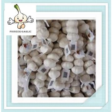 China Garlic 2016 Natural Garlic 5.5cm new fresh white garlic of 20kg/mesh bag