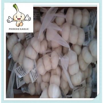 2016 China Normal White Garlic & Pure White Garlic best quality