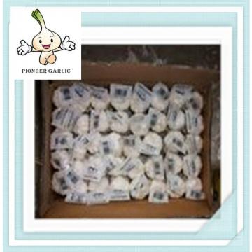 2015 Fresh Normal White Garlic China Best Price Red and Natural Garlic