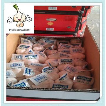 garlic for sale Fresh 500g packing garlic normal white fresh garlic, size5.0cm