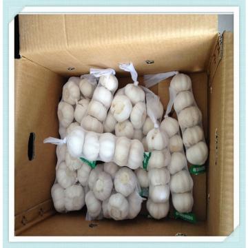 2015 New Shandong Garlic Fresh White normal white Garlic