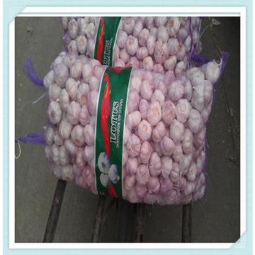 High Quality 2015 Fresh White Garlic 5CM Garlic Hot selling