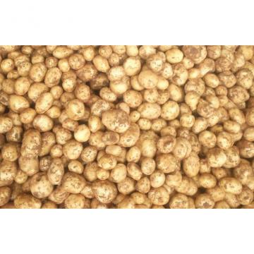Thin Skin Holland Organic Potatoes Rich Nutritions For Human Health