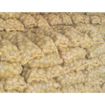 Fresh No Fleck Organic Potatoes / Spud For Vegetable Shop , Market