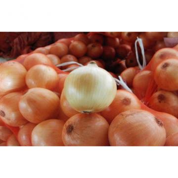 70 - 90mm White Natural Fresh Onion Sweet Round Shape For Hair Loss , Fresh Vegetable, Fine organization, Spicy thick