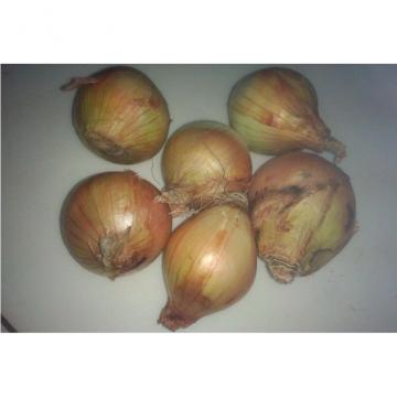 Non-Peeled Yellow Natural Fresh Onion With Sweet Flavour Contains Water, Sugar, More resistant to storage,transportation