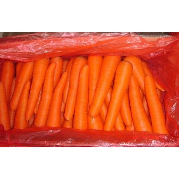 Nutritional Value Organic Carrot