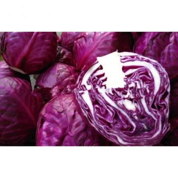 Natural No Infect Chinese Napa Cabbage Contains Potassium , Manganese For Stronger Bone