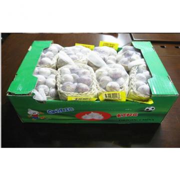 chinese fresh garlic 2015 chinese new garlic