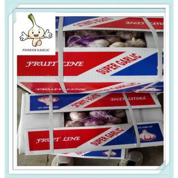 100% quality favorable price and cute garlic price in china