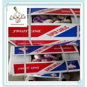 Lowest Price China Natural Garlic Chinese New Harvested