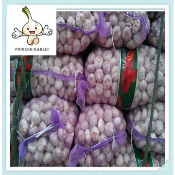 New fresh chinese white garlic of 8kg/10kg/20kg/mesh bag-popular