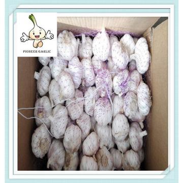 2015 new crop natural garlic purple garlic normal white garlic