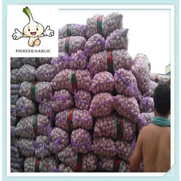 china garlic 2014 fresh garlic for Haiti china high quality fresh white garlic