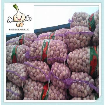 Fresh White Natural Garlic - hot sales, new arrival by ShanDong