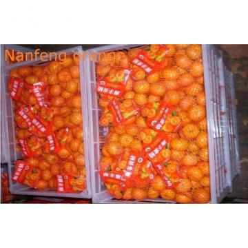 Jiangxi Nanfeng Sweet Fresh Mandarin Oranges Juicy Contains Lutein And Zeaxanthin, pericarp thin, Orange glossy