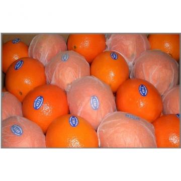 Juicy Blood Fresh Navel Orange