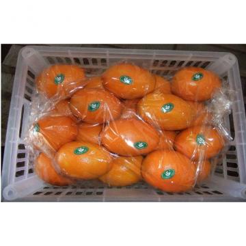 Organic Sweet Juicy Round Fresh Navel Orange / Ponkan Orange With High Energy, Flesh tender and crisp