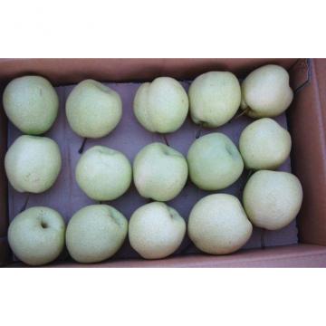Apple Pears / Fresh Pear Sweet And Sour Moderate Containing Vitamin C E K