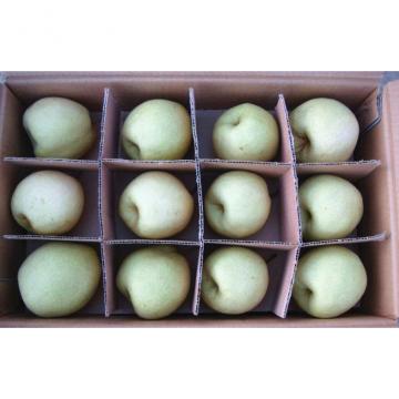 Green And Yellow Nutritional Fresh Pears Containing Lutein-Zeaxanthin