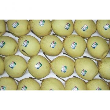Natural Juicy Fresh Pears Containing Phosphorus , No Pesticide Residue