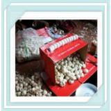 top quolity garlic supplier white garlic to colombia market suppliersr