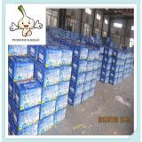 Jining White Garlic Factory 5.5CM White Garlic In 10Kg Carton For Israel Market