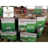 Normal White Garlic Chinese Natural Fresh Garlic in 10kg Box