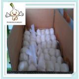 10kg Loose Carton Packing Carton Garlic Export 2015 White Fresh Garlic Price