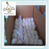 Chinese fresh white garlic 5.0cm 10kg/mesh bag or carton Sell Garlic