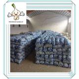 Fresh pure white garlic ,normal jinxiang 1kg packed pure white garlic