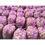 Fresh Gralic Normal Red / white Pure White Garlic for Sale Best Price