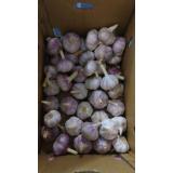 2018 New Crop Chinease Fresh Garlic, White Garlic, 4.5-6.5cm,Good Quality